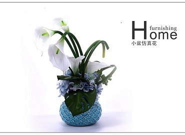 绿植的五行属性