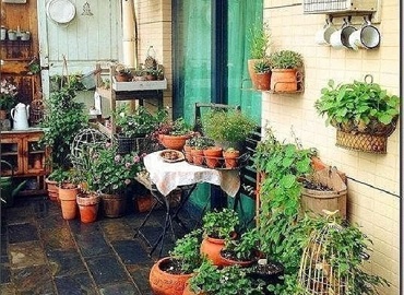 户外露台 变装成绿植庭院