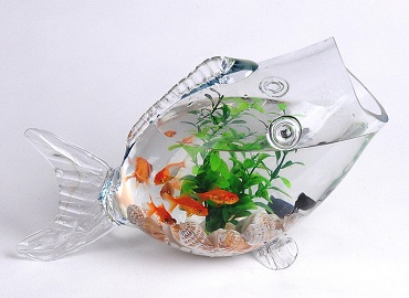 金鱼缸风水知多少