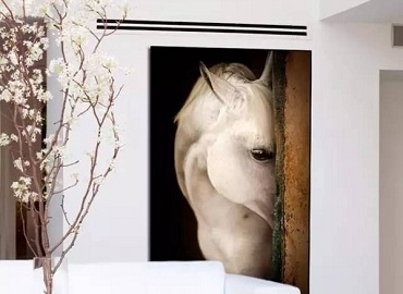 艺术装饰画 重塑魅力家