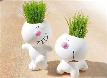 很实用的家居风水知识！让你的家充满仙气