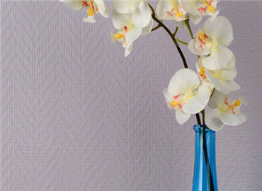 融合涂料与壁纸 海基布带来墙面新肌理