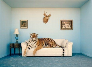 风水无情！违背家居风水原则 富豪变贫民