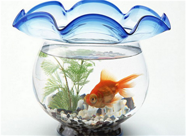 家庭摆放鱼缸风水简介