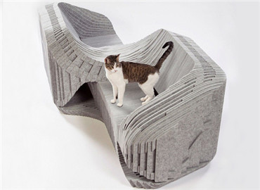 猫奴们请注意 喵主子要求换个窝