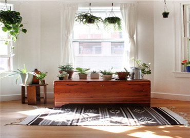 8款绿植搭配法，为绿色小精灵找个好去处吧!