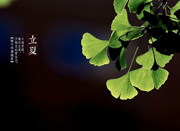 立夏养心 延绵益寿