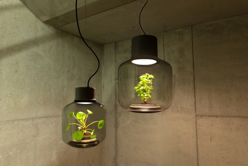 环保照明设计 在灯泡里生长的绿芽