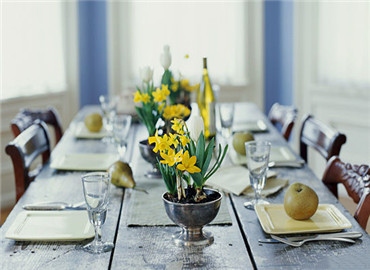 把点点绿意带回家