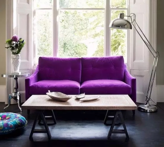 “好色之徒” 释放你的天性吧