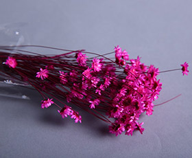 帆景工艺，打造专属你的花花世界！