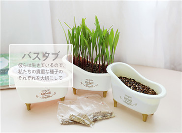 【热销】单调的办公桌 是时候摇身一变啦