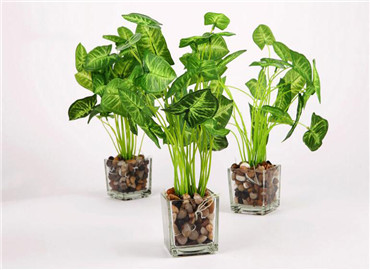 布置好客厅的八大方位 不容忽视