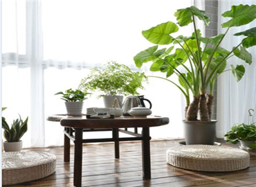 两居室的简单美好 生活本该如此