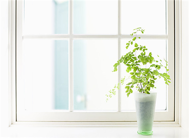 秋冬纱窗清理有妙招 轻松搞定