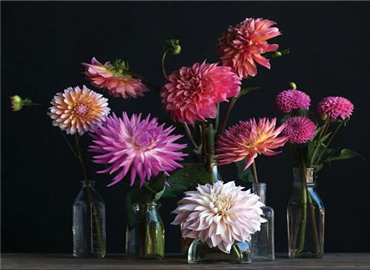 看旧玻璃如何逆袭成为超美装饰品