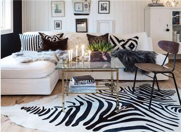 潮流斑马纹搭配出来的美家 简直了！