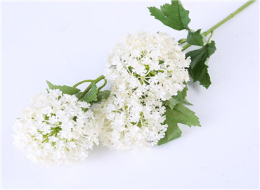 微寒 请收下这份真挚温暖的关怀