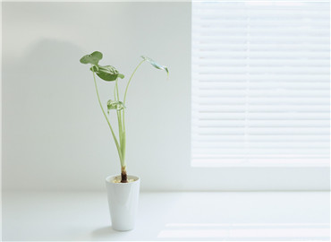 绿色环保家居 门窗节能最关键