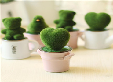 颜值与创意并存的小盆栽 家居里的小精灵