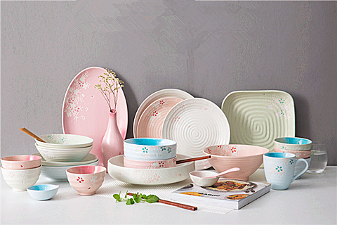 what？这么美的日韩餐具才10元！