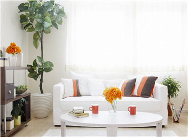 墙面刷漆猫腻多 业主必须警惕