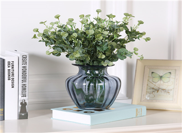 客厅绿植风水讲究 多注意总归是好的