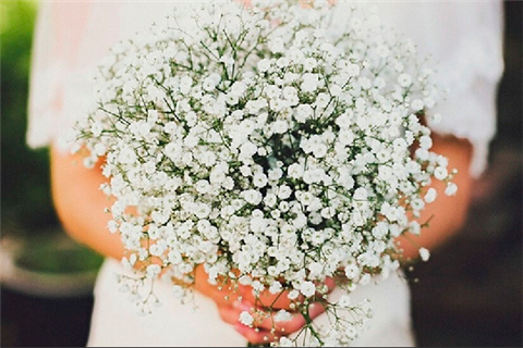 一束干花，承载着我对你满满的爱意！