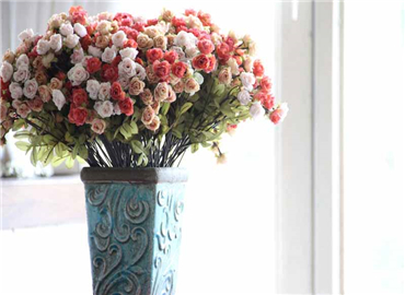 春节逼婚你怕了吗？花瓶助运桃花节节开