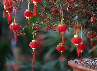 新年迎客超有面子 真多亏了它们