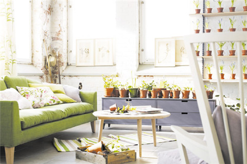 万物复苏的春天，家居怎么能少了草木绿色！