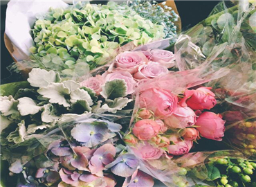 拥抱整个春天 送自己一季的繁花似锦