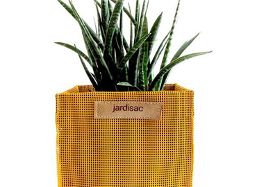 花草竟可以种进包包里 没有什么比它更绝了