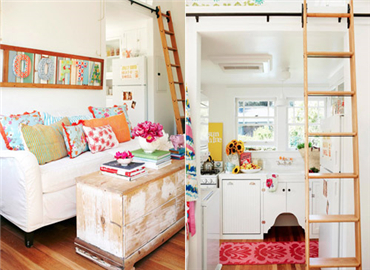 一花一草一世界 把春意盎然抱回家