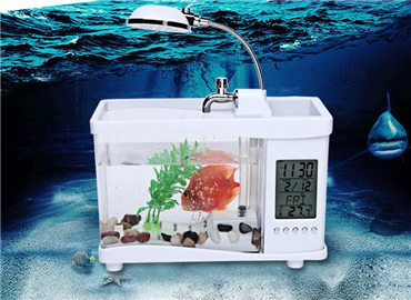 大写加粗的服！没想到鱼缸还可以这样玩