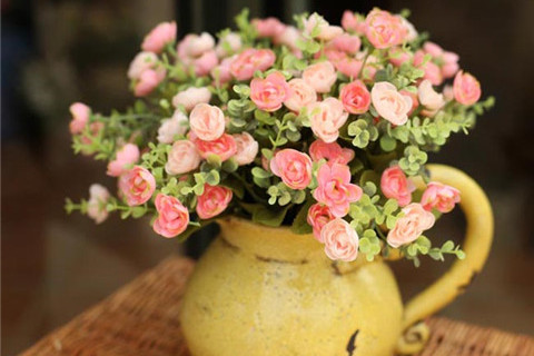 一花一世界，每天生活在芬芳的花海中！