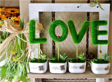 告白还送花这么老土？它一出场秒杀众情敌