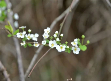 大概这就是春季的颜色 愿正能量常伴你左右
