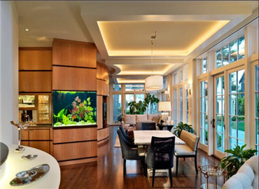 你家的鱼养对了吗？四招好风水带旺全家