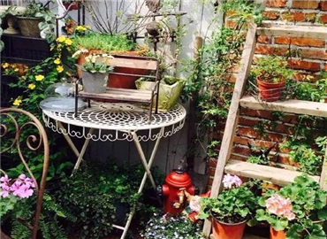 微风暖阳 请收下这一秘密花园