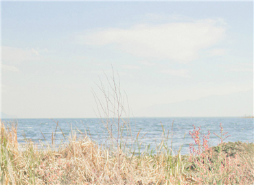 邂逅春之色 没想到家也可以变成这样