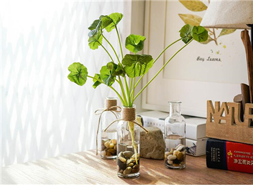 花与木的相遇有一百种方式 但这个最为倾心