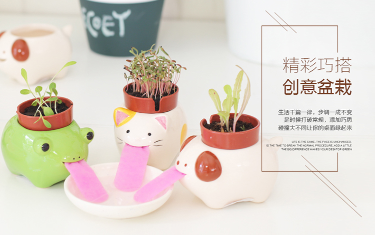 创意植物绿色小盆栽喝水的小动物1