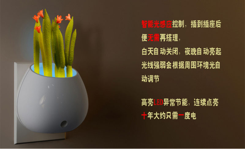 厂家直销 正品 盆裁小夜灯 光控盆裁小夜灯 七彩变色小夜灯 送礼7