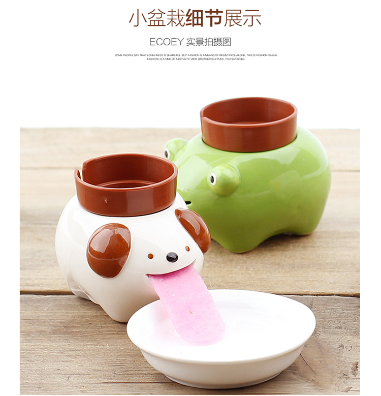 自吸水创意绿色小熊猫造型小盆栽创意园艺装饰9