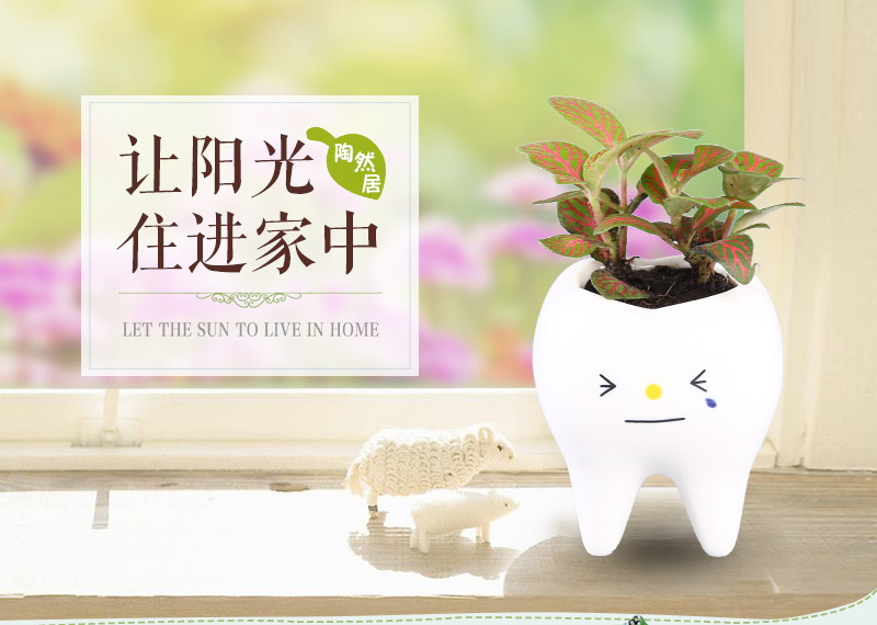 创意园艺师迷你盆栽 可爱牙芽造型盆栽盆栽 家居办公室小盆栽 YYPZ1