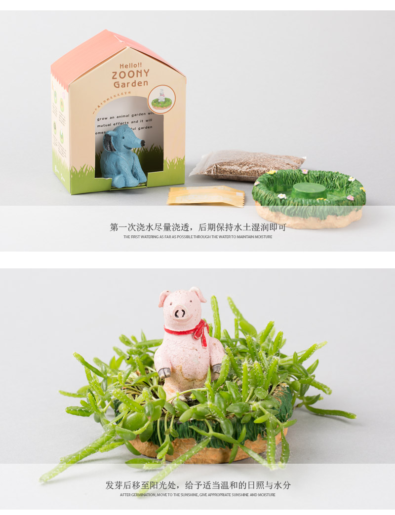 创意迷你动物家园小盆栽 办公室桌面绿色小植物 DWJY5