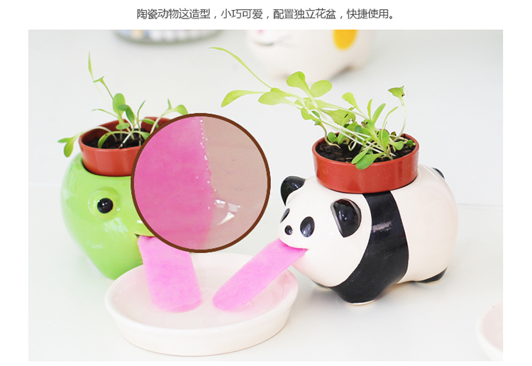 自吸水创意绿色小熊猫造型小盆栽创意园艺装饰10