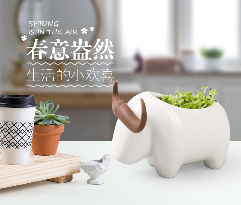 创意迷你创意桌面盆栽 办公室桌面绿色小植物 CYZM1