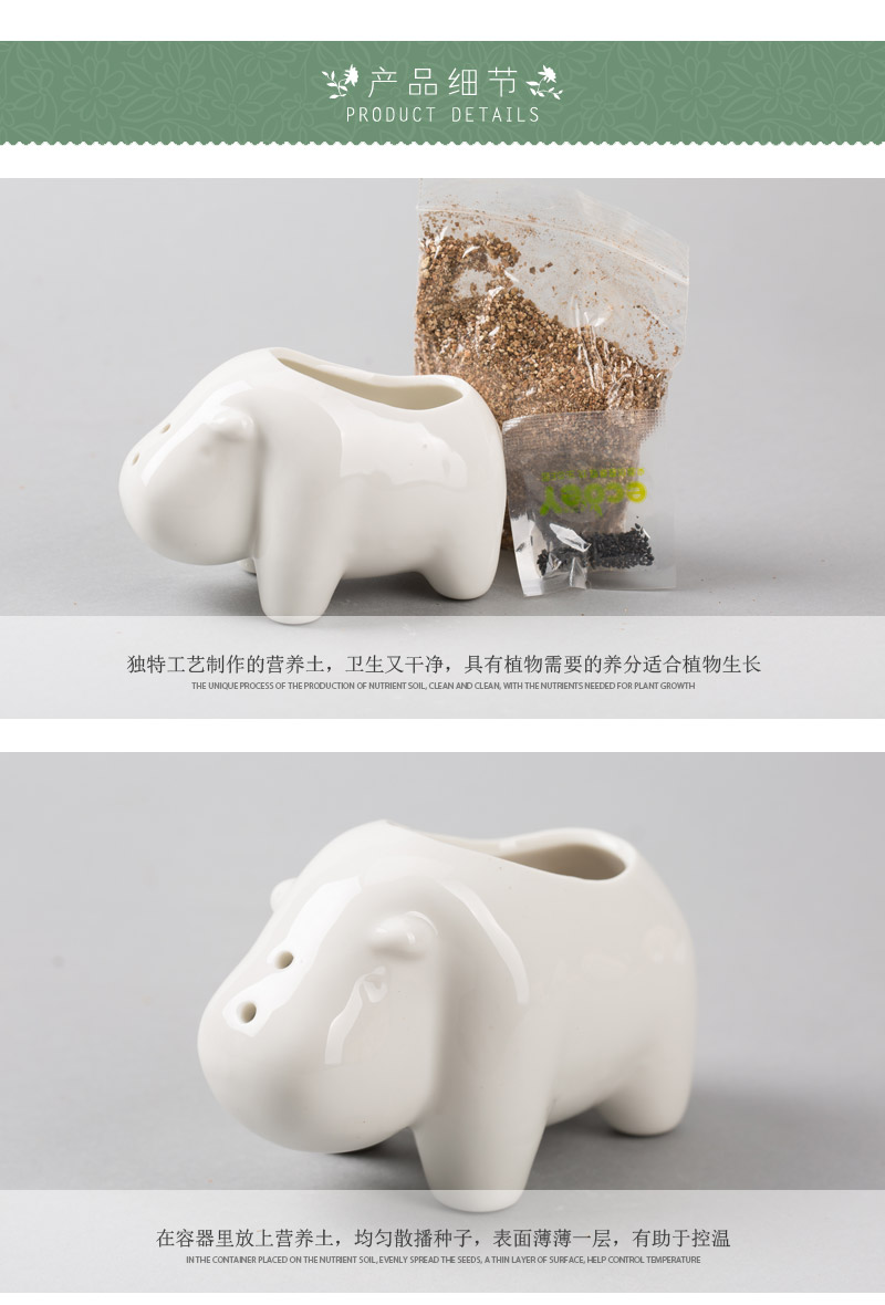 创意迷你创意桌面盆栽 办公室桌面绿色小植物 CYZM4